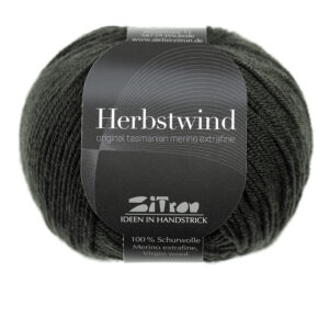 Herbstwind 20