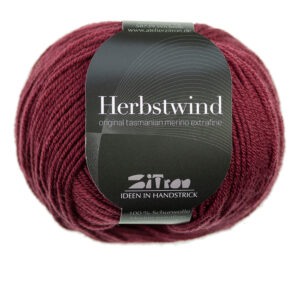 Herbstwind 23